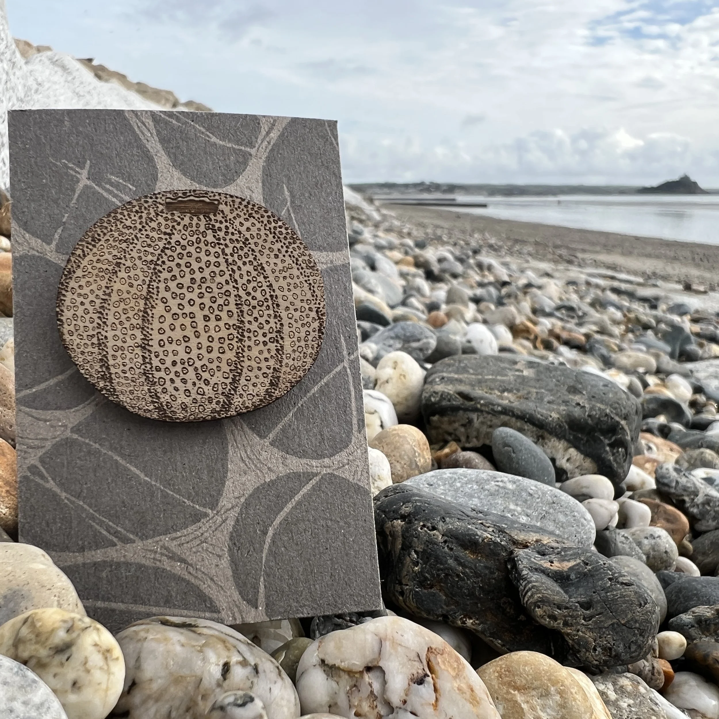 Sea urchin etched wooden brooch £8.50