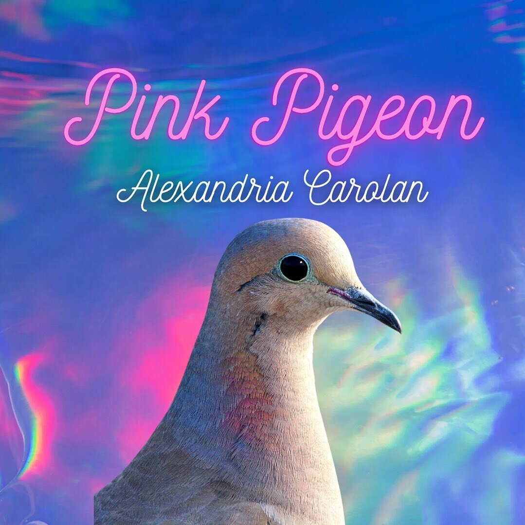 As the spring semester has come to it&rsquo;s end, check out our last new online piece until the fall semester begins! @alxcrln brings us this flash fiction piece about love and doves after a wedding 🕊️

http://www.pinchjournal.com/fictionpinch/2023