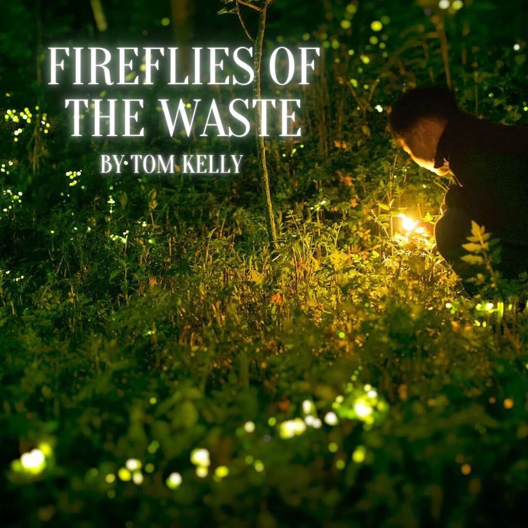 Pinch Post Sunday!

Our online feature this week is a lovely poem titled, &ldquo;Fireflies of The Waste&rdquo; by Tom Kelly. Head to the link in our bio to check it out!

#thepinch #pinchjournal #poem #poetry #litjournal #litmag #poetrylovers