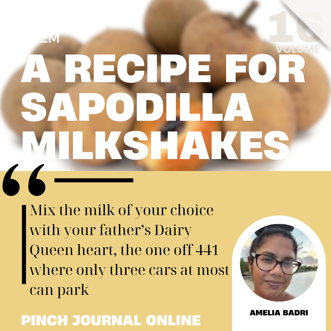 A Recipe for Sapodilla Milkshakes