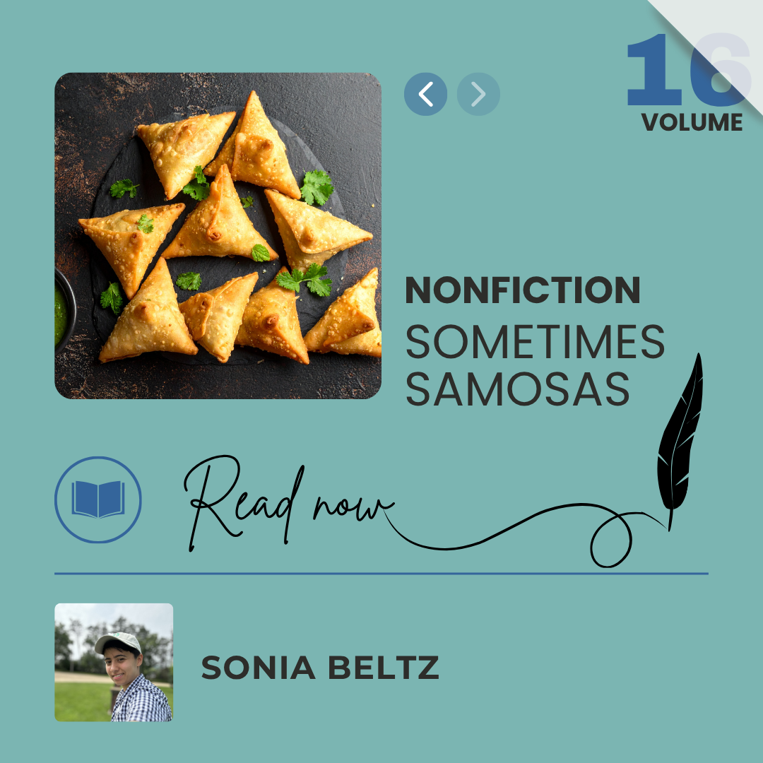 Sometimes Samosas