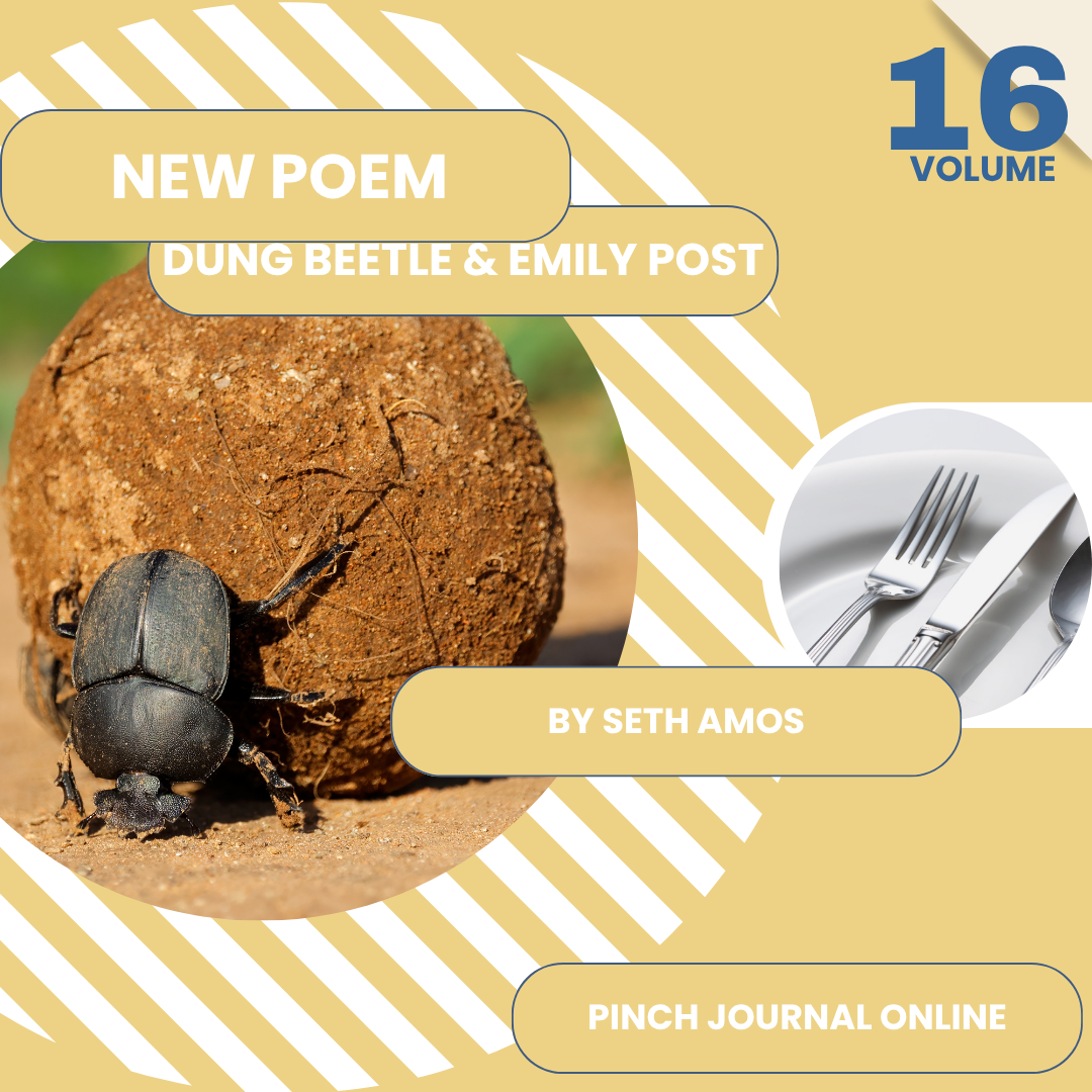 Dung Beetle &amp; Emily Post