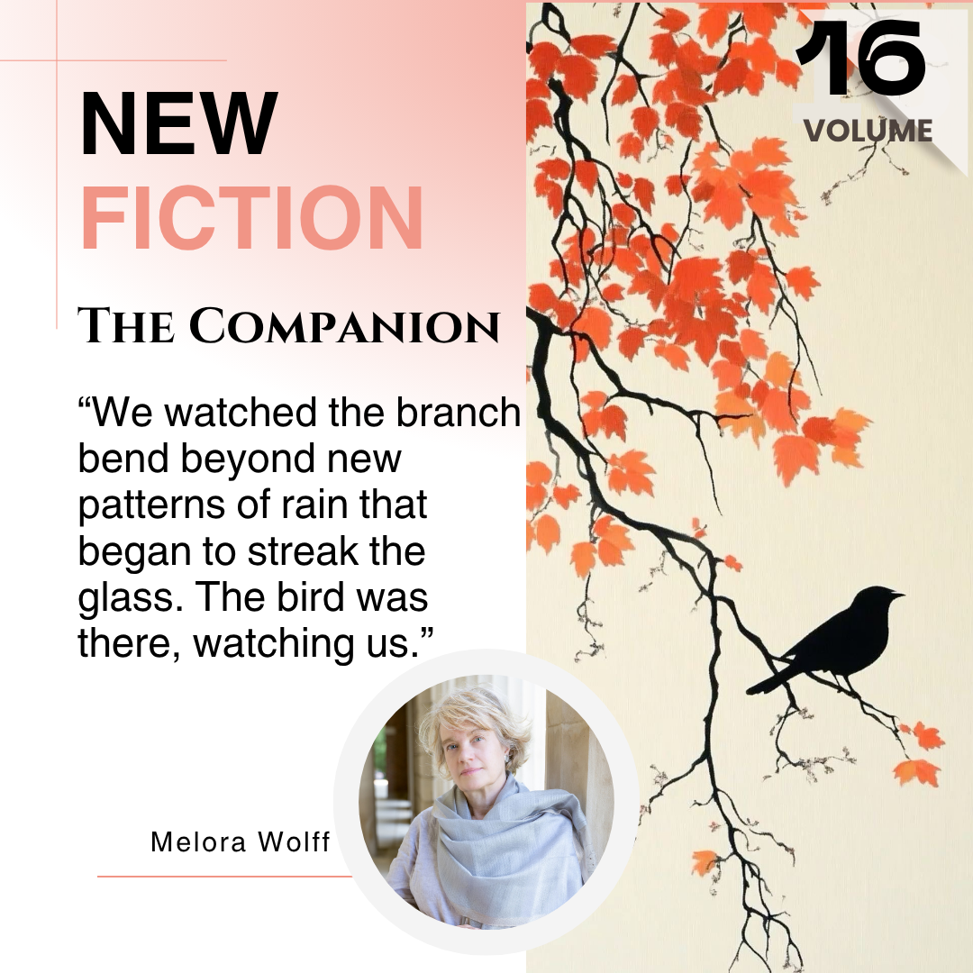 The Companion