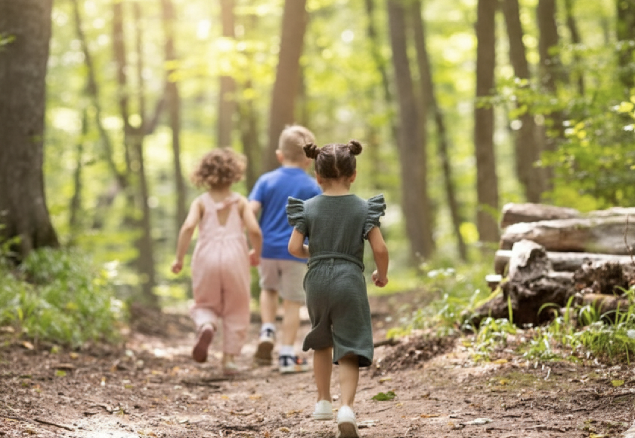 We Are A Preschool, And Our Classroom Is The Forest.