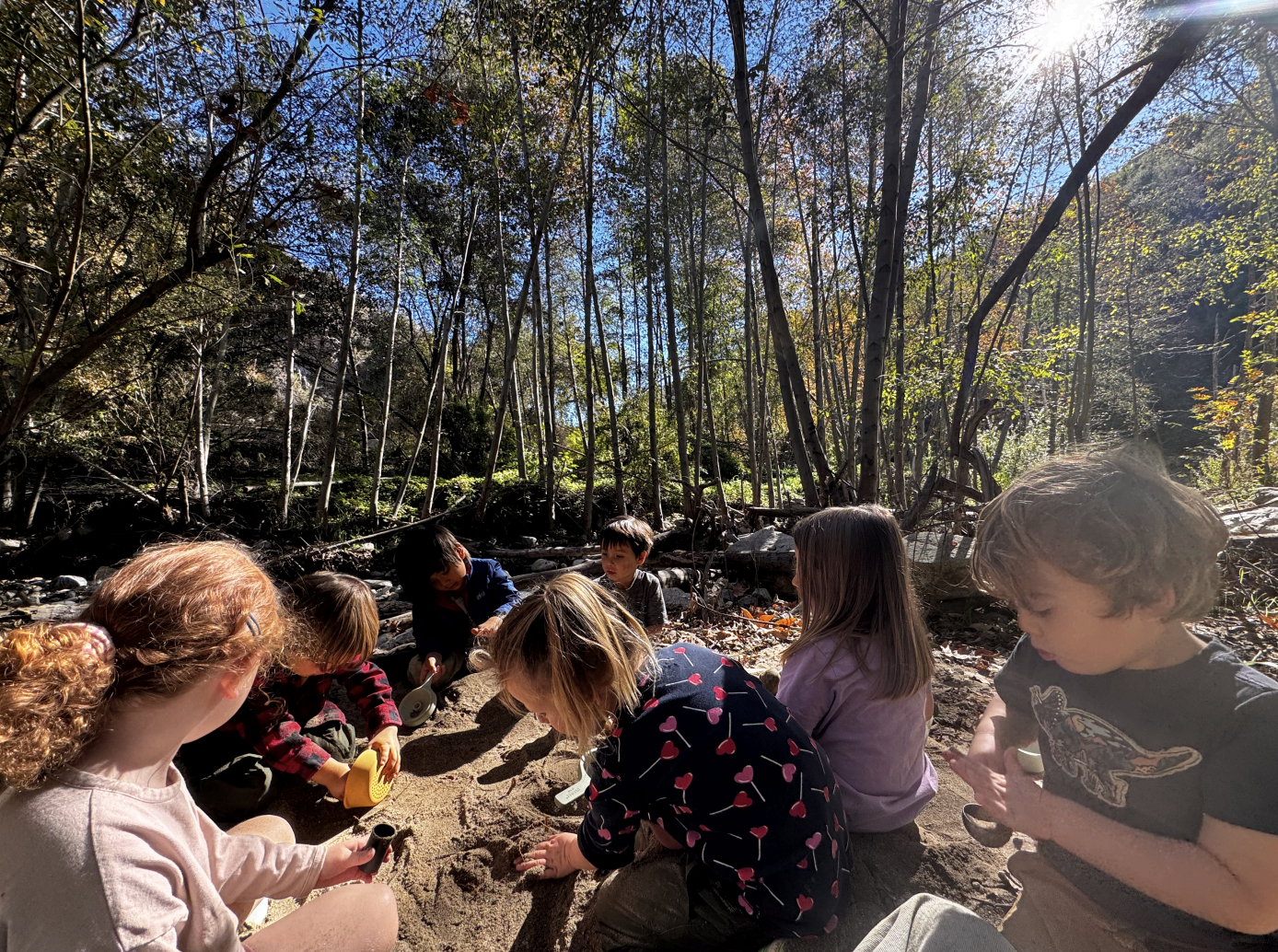 Little Finch Journal: a week at forest school