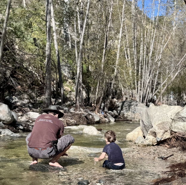 Sunny Days After The Rainy Days