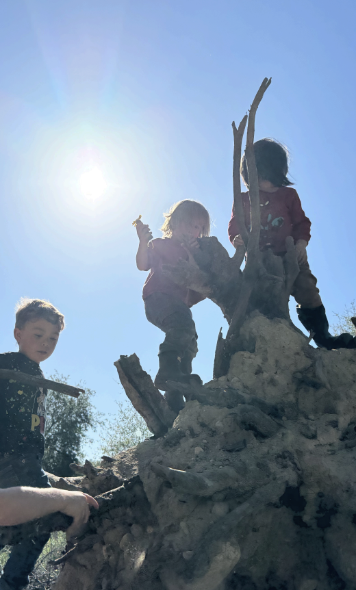 Young children climbing tree roots during outdoor preschool in Pasadena, California.