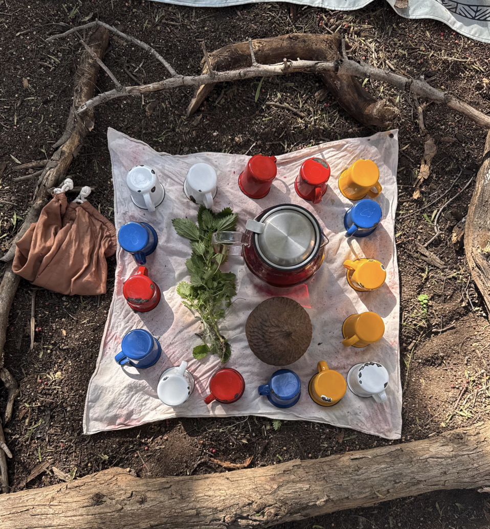 Children’s herbal tea circle set up outdoors at forest school in Los Angeles, California.