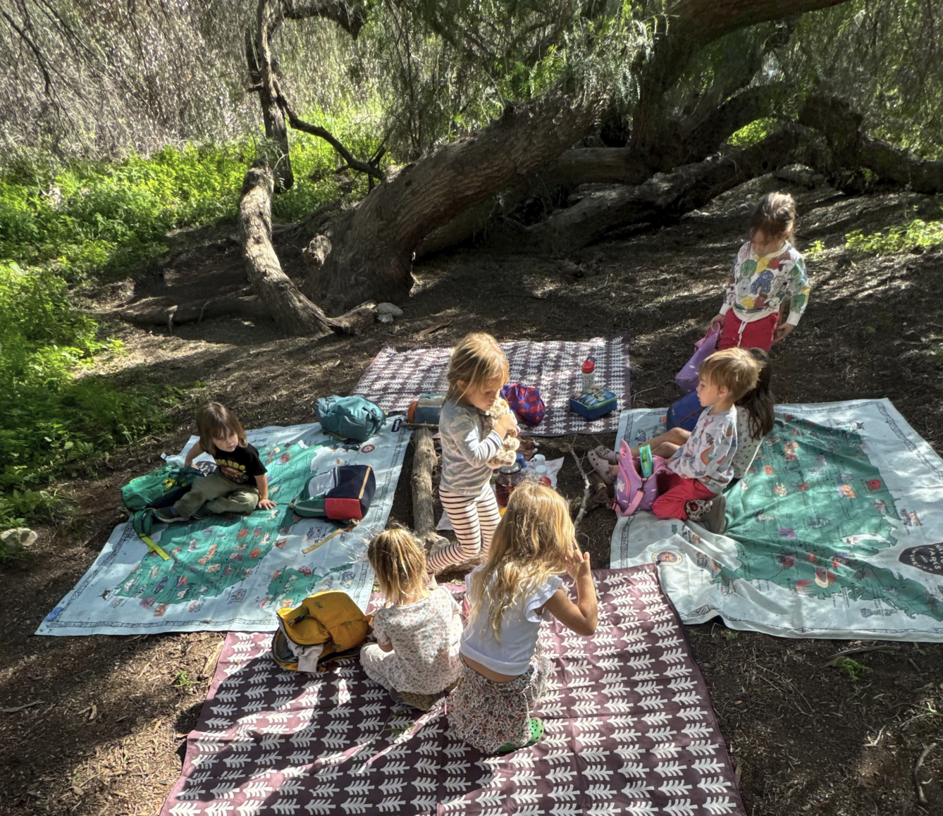 Preschool children having snack outdoors at forest school in Pasadena, California under large trees.