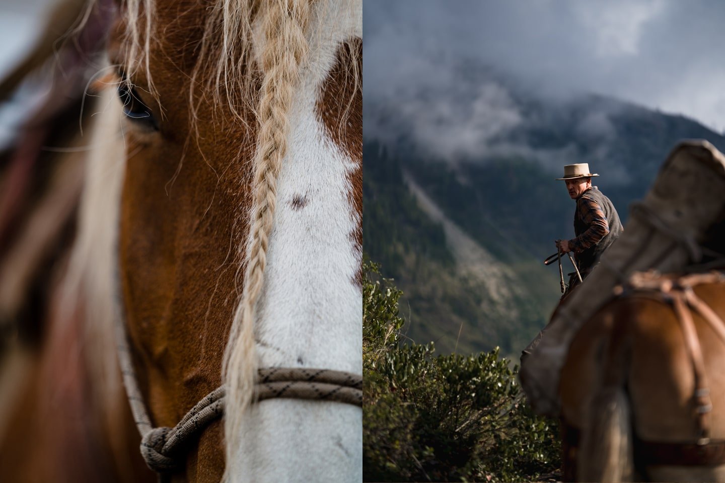 Muledragger-image-3.jpg
