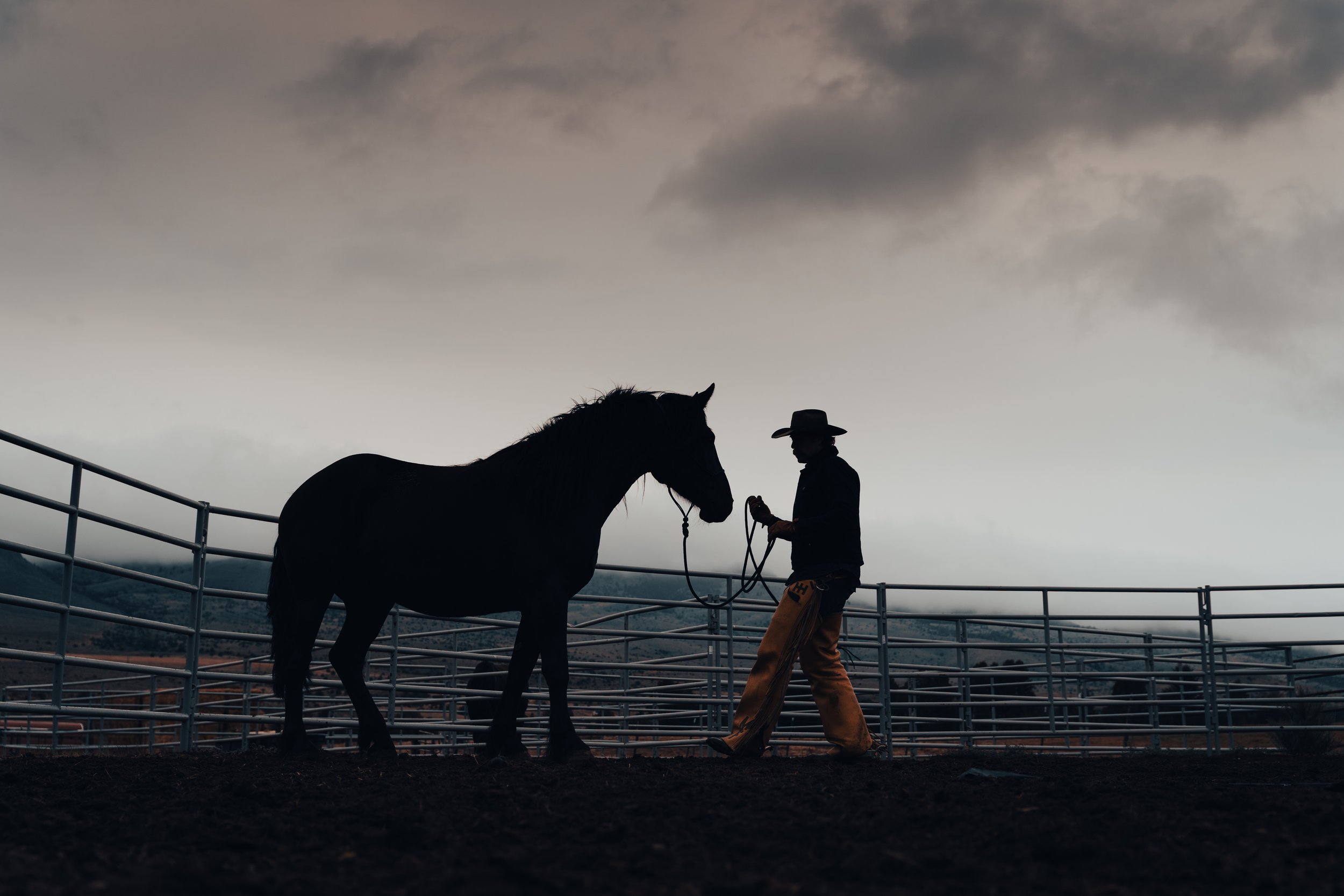 2108_Heroes-and-Horses-00905.jpg