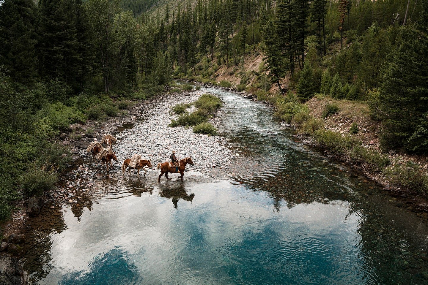 Muledragger-image-2.jpg