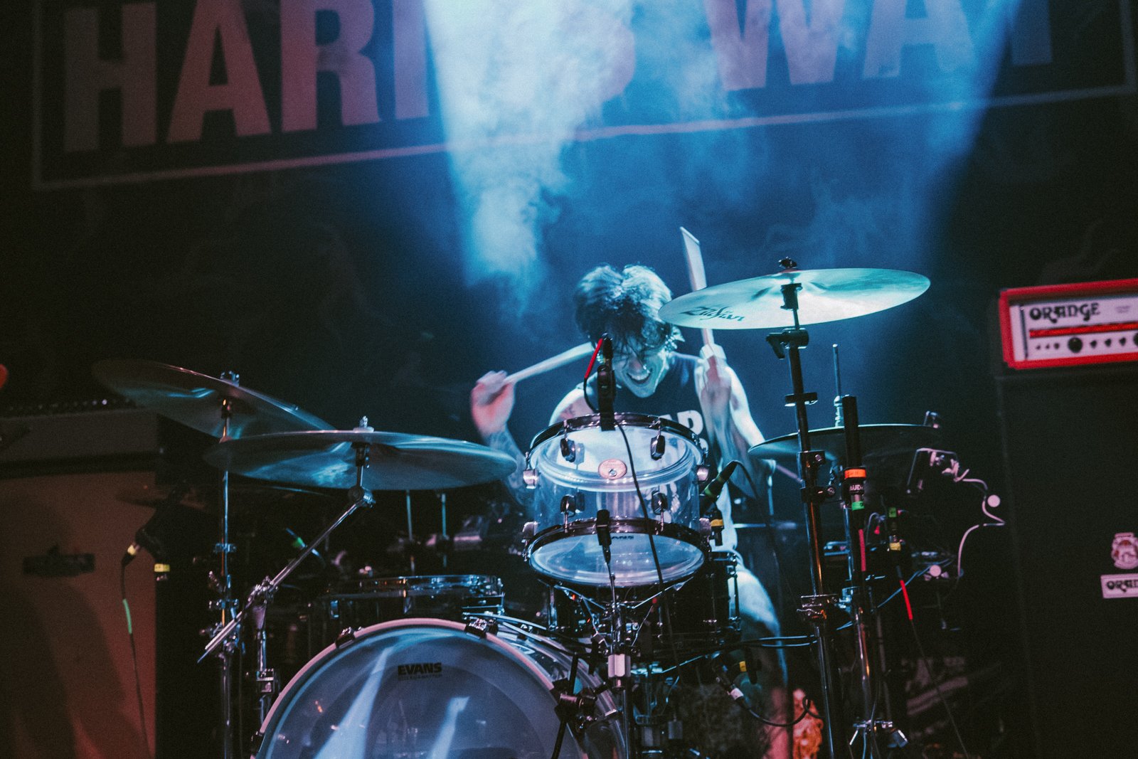 Harms Way-3.jpg