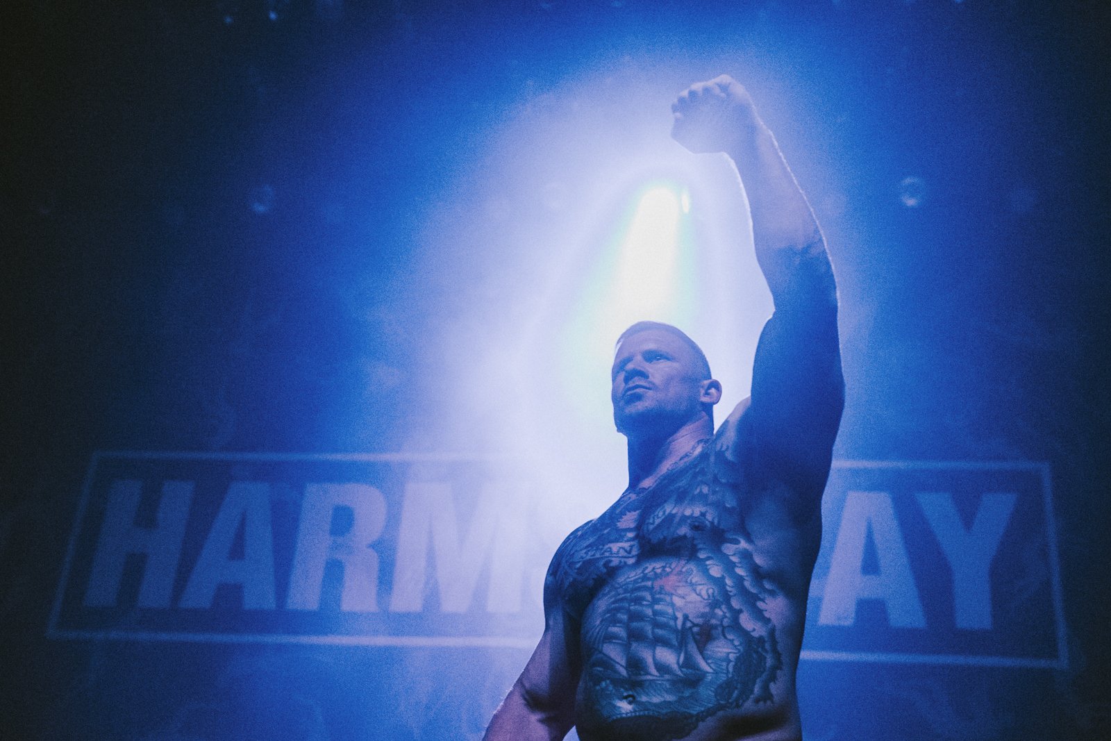 Harms Way-5.jpg