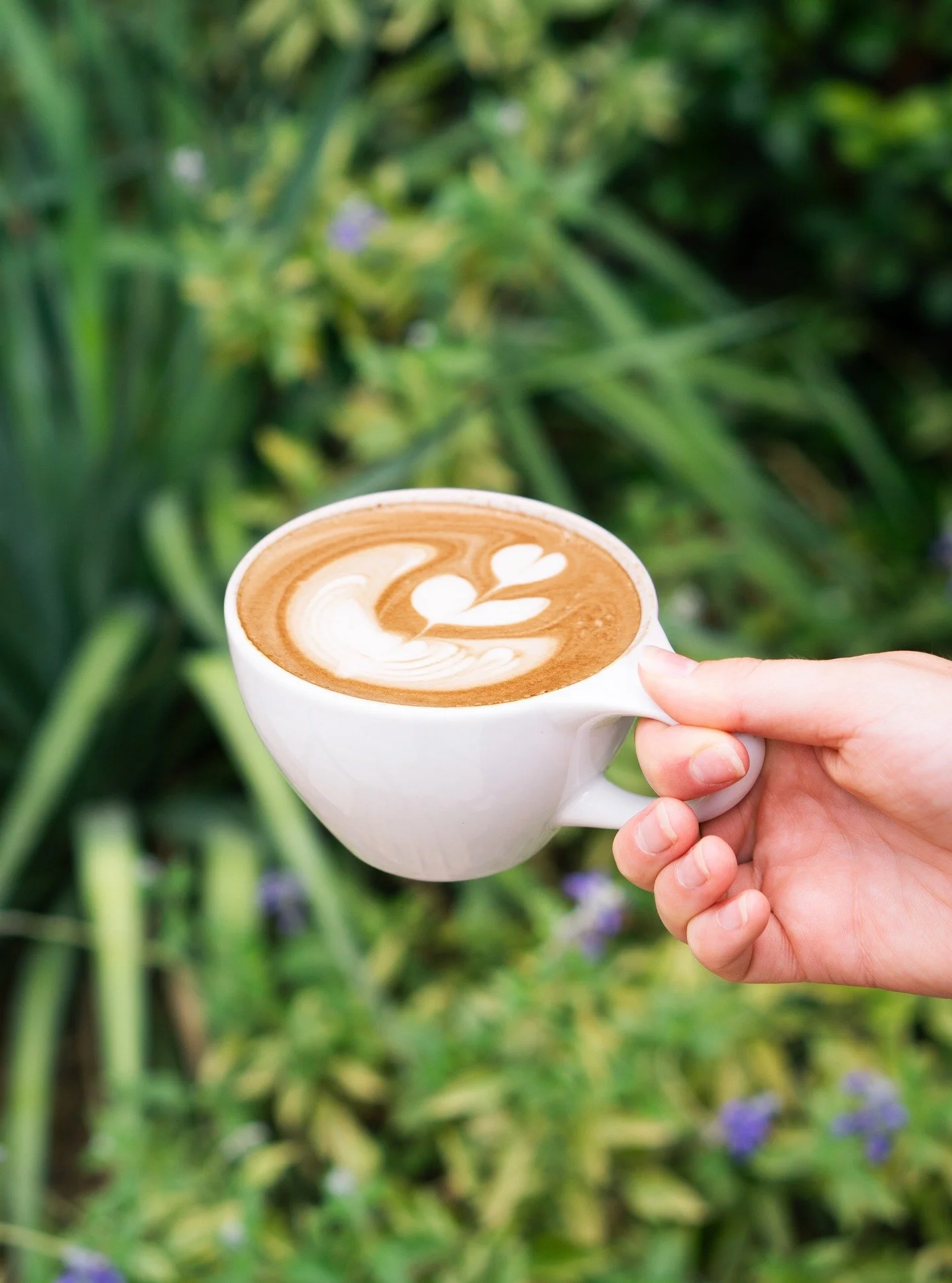 It's cold outside, but it's always warm at Mazama 💛 Come in and enjoy a beautiful craft latte by one of our incredible baristas&mdash;Open until 4pm
