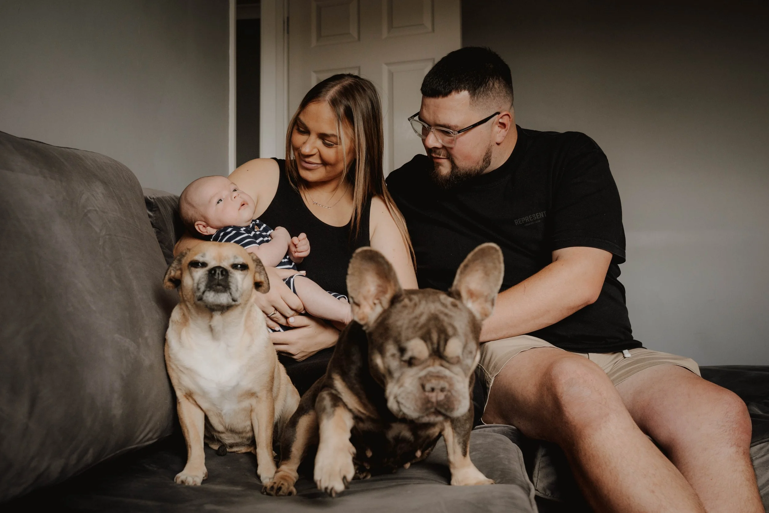 A family of four, including a baby, a woman, a man, and two dogs, sitting on a gray couch in a living room.