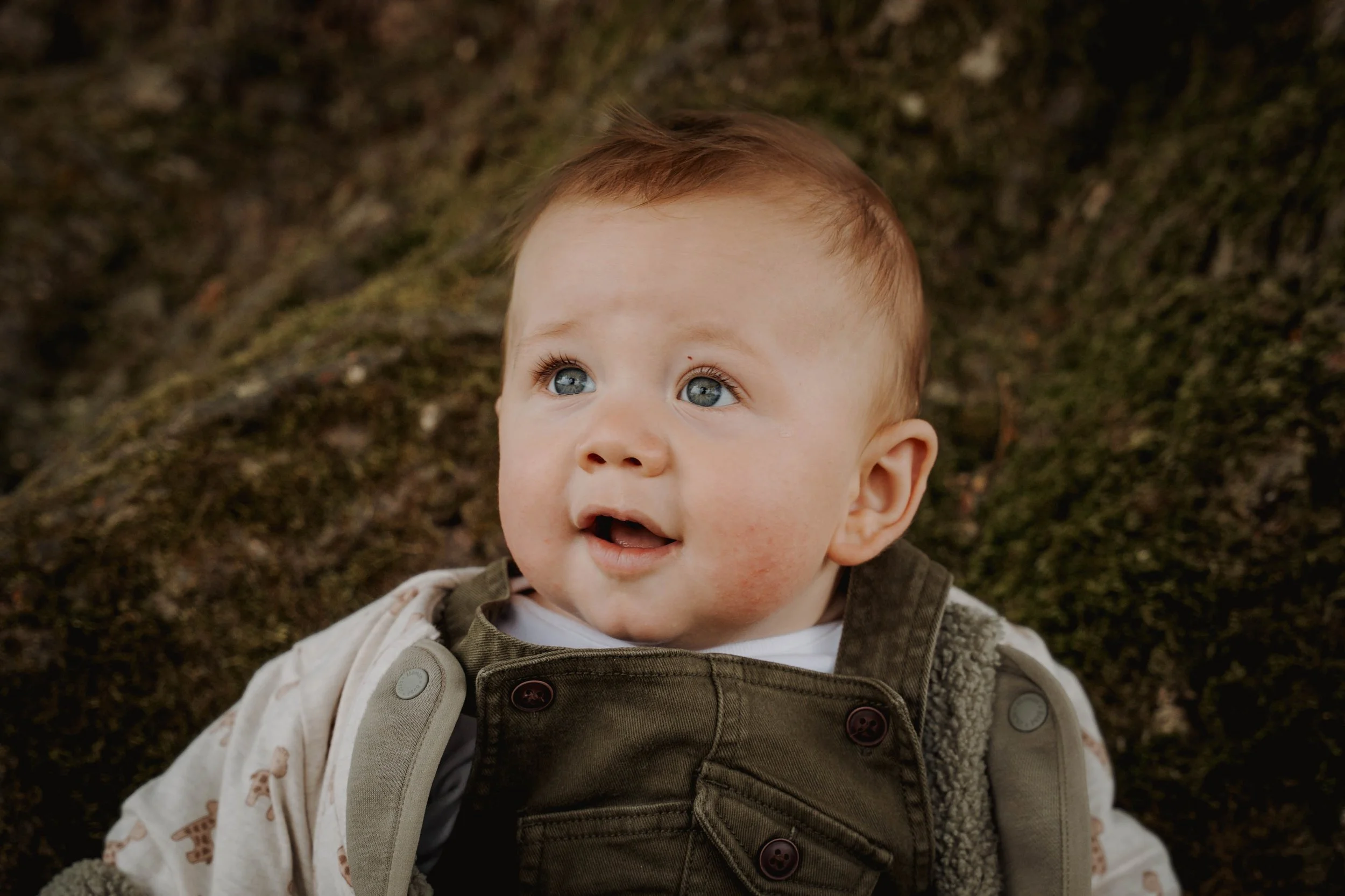 Close-up of a baby with blue eyes and light brown hair, looking up with an expression of wonder, outdoors on a moss-covered background.