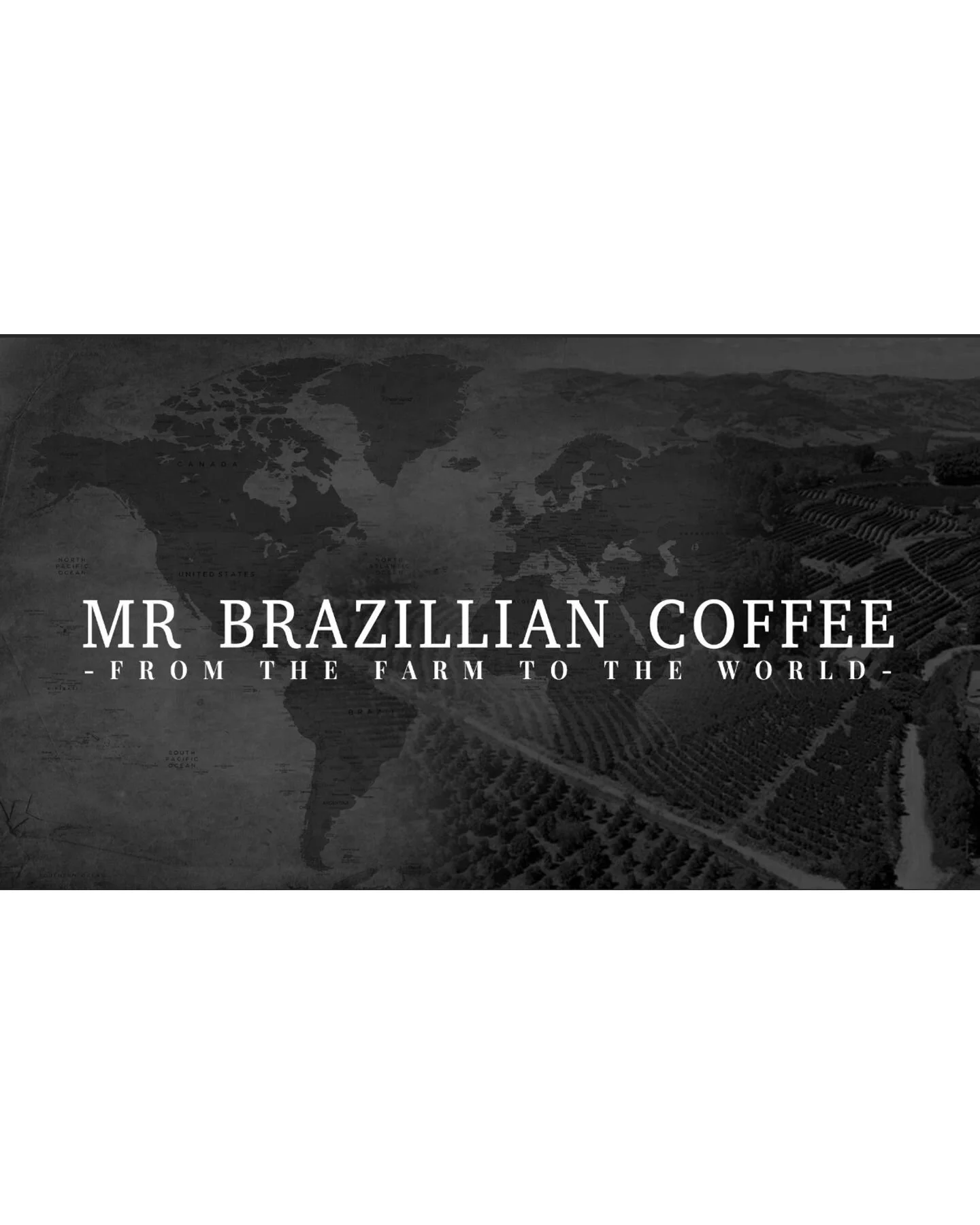 Mr. Brazilian Coffee Roasted works professionally and efficiently with the most popular blends made from selected grains from various origins and roasted in Italy. From these two compounds, you get the quality of coffee and drink  unbeatable  and wit