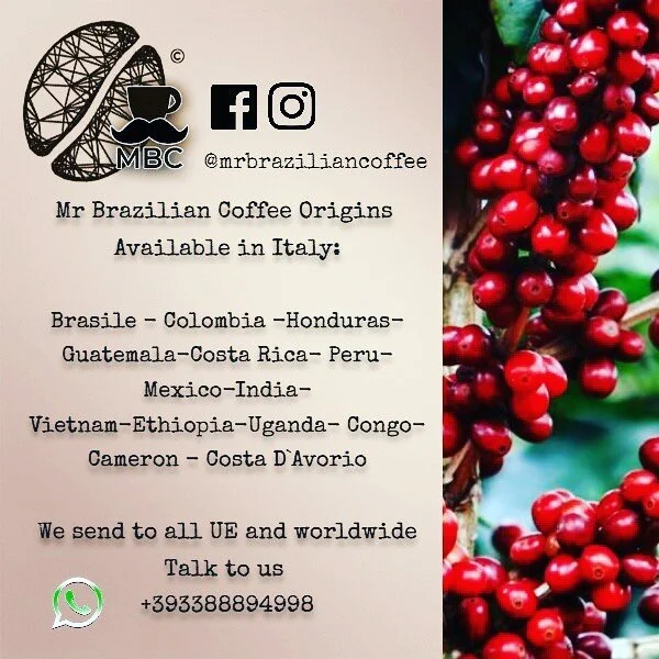 #germanycoffeeroaster #austriacoffee #belgiumcoffeeroaster #swisscoffeeroasters #albanycoffeeroasters #serbiacoffee #poloniacoffee #ucraniacoffee #francecoffeeroaster #irlandacoffee #denmarkcoffeeroaster #swedencoffeeroaster #finlandcoffeeshop #norwa