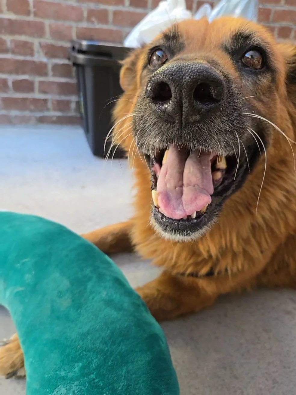 20251019_151509 (1).jpg