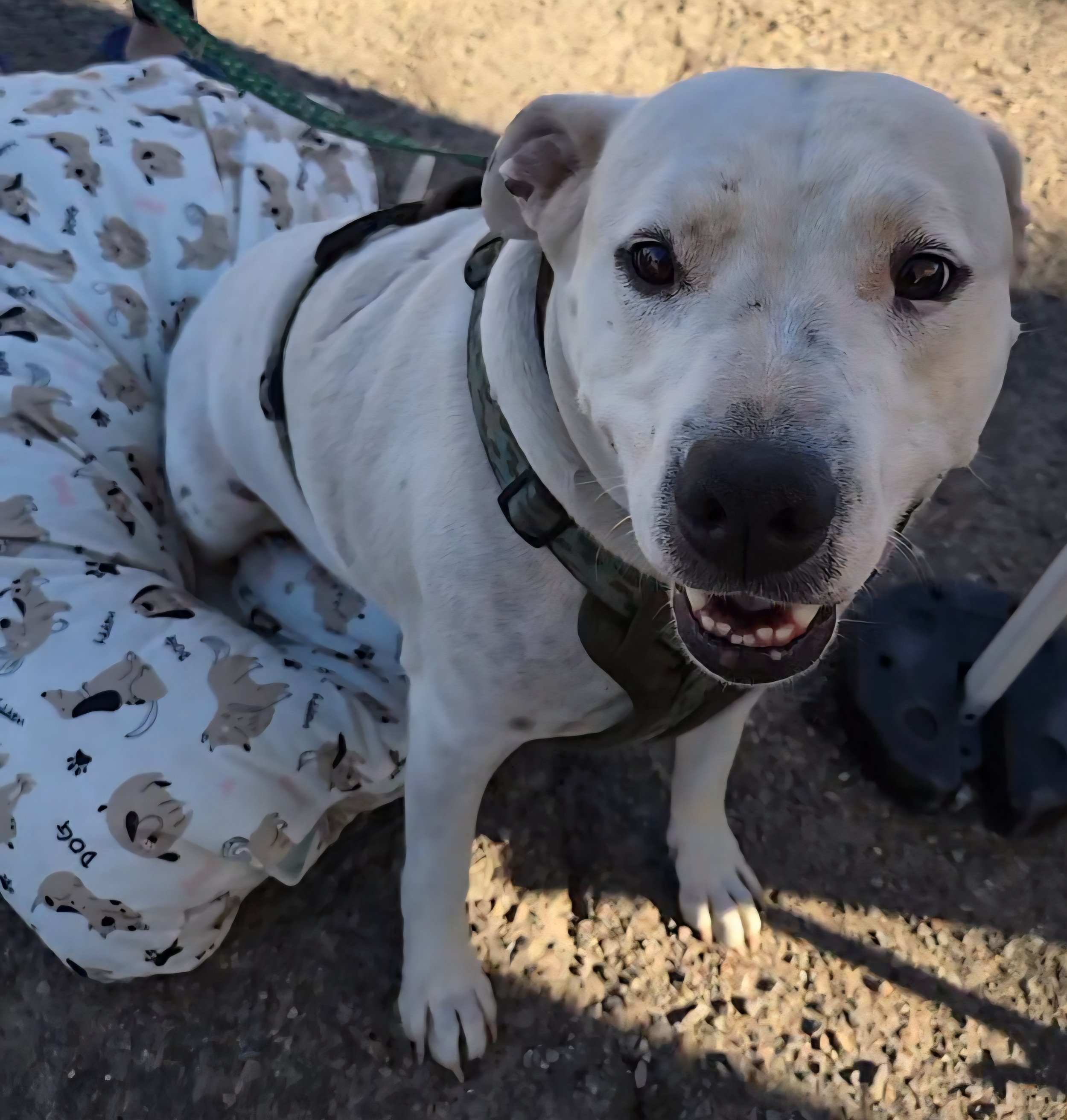 20251018_092627 (1).jpg