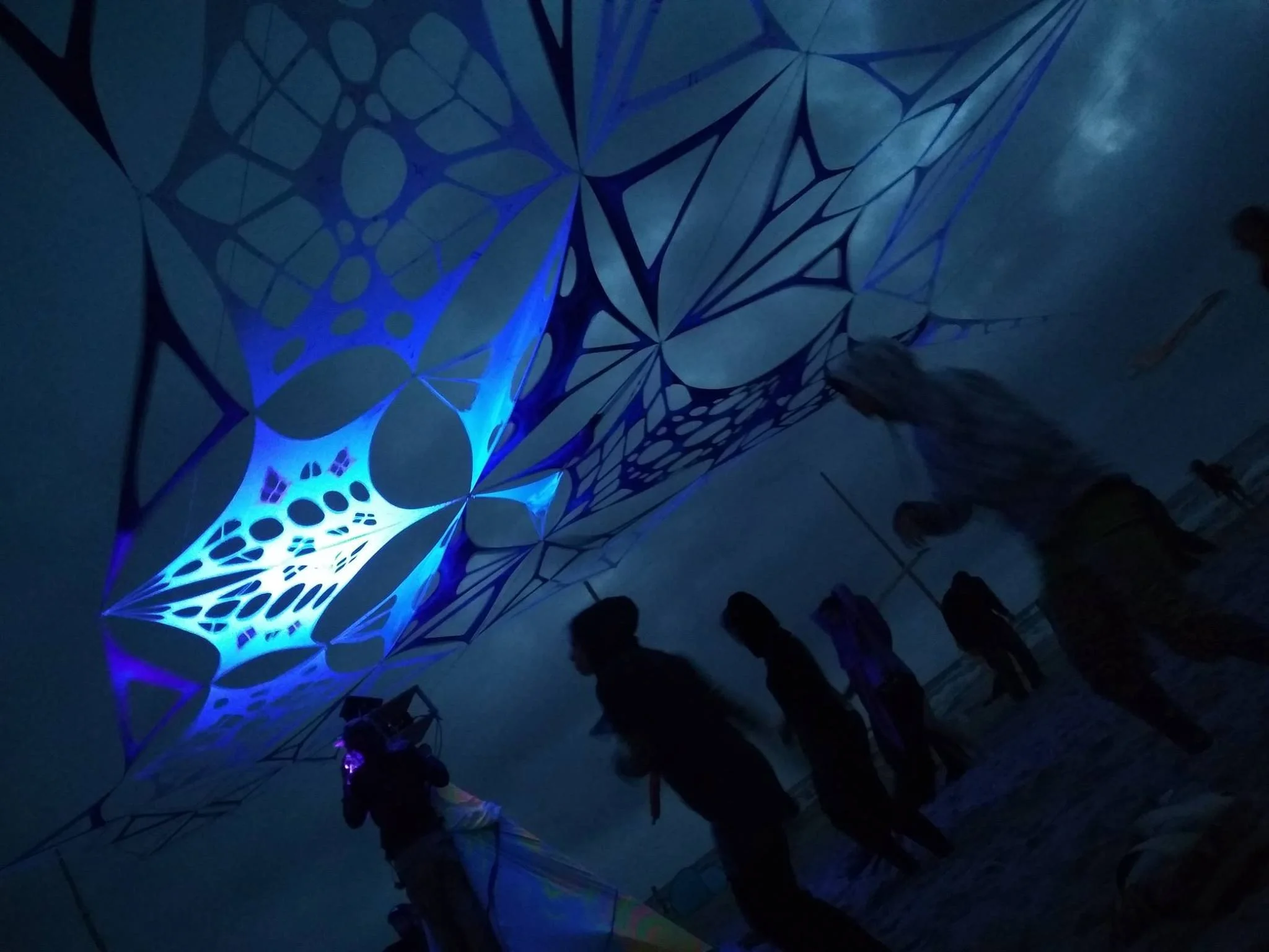 ↑ Project owner and supervisor: Paulina Etheri Bartosiewicz