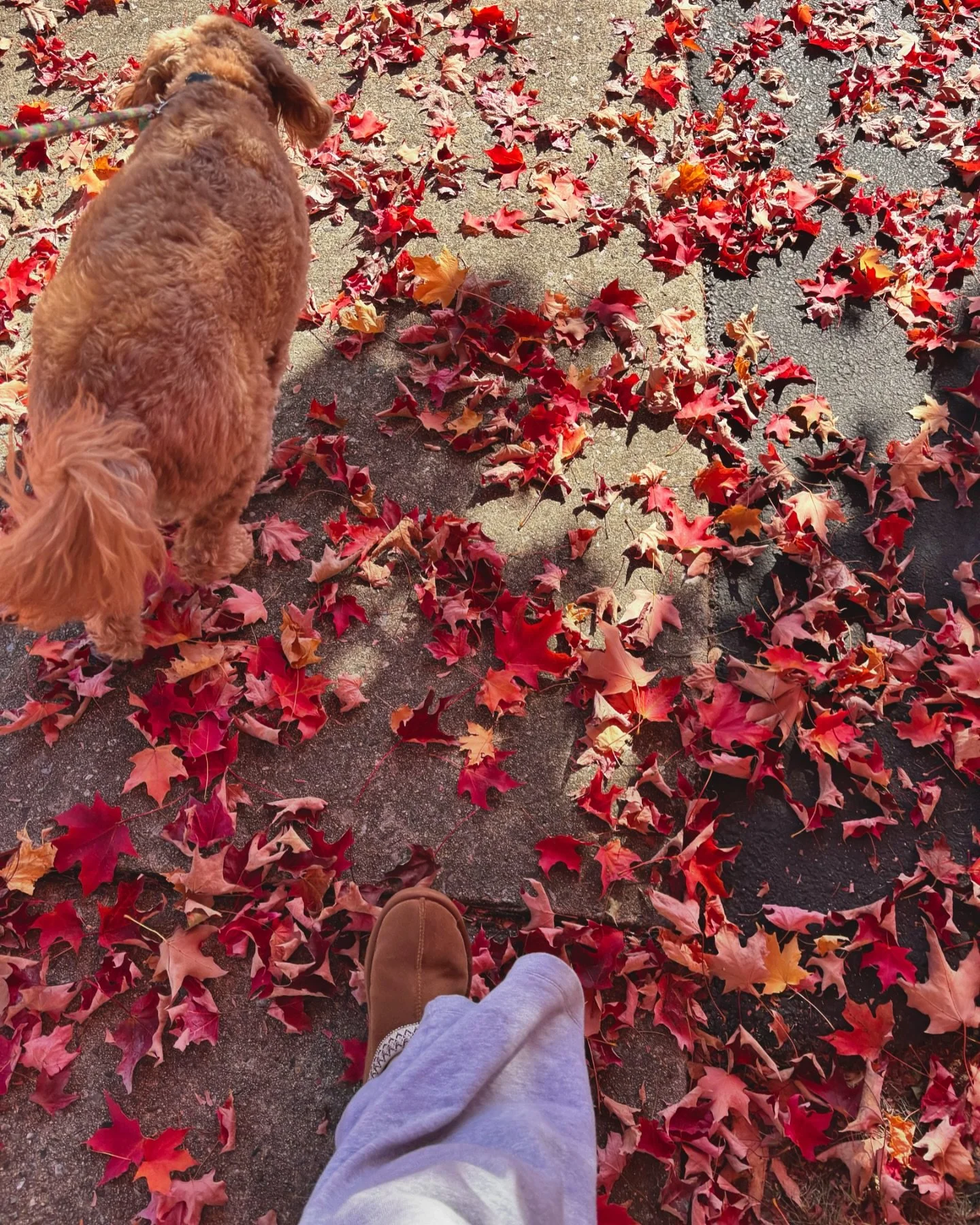 october, you&rsquo;ve been so good to me and my silly little brain 🍂