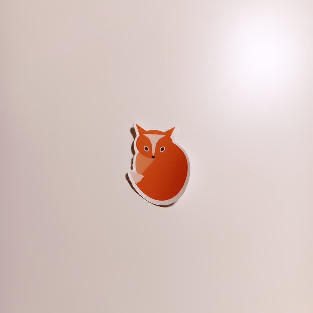 Fox.jpg