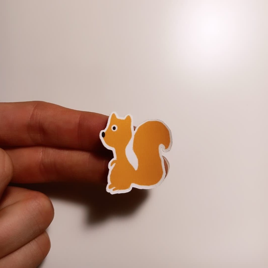 Squirrel+2.jpg