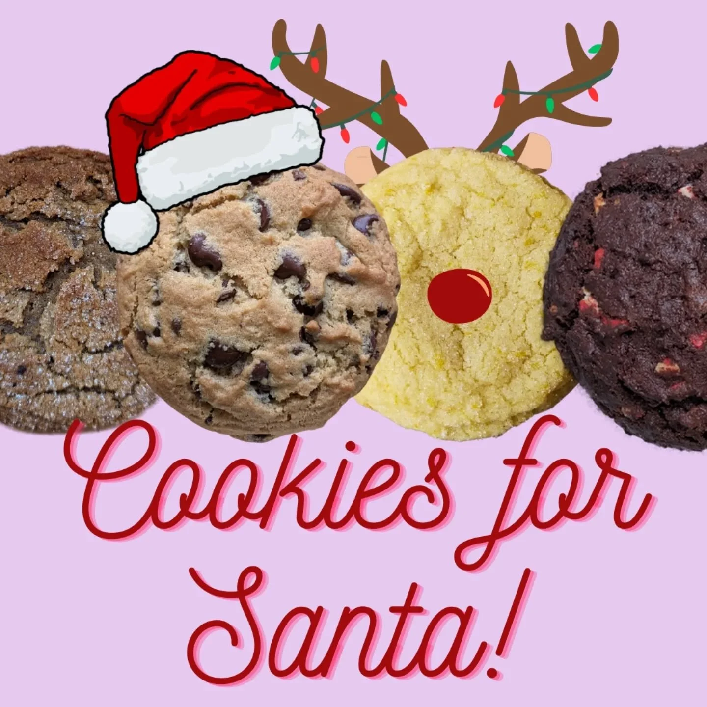 It's officially Christmas season and holiday pre-orders are OPEN on the Pastel website! Make sure you have plenty of cookies for Santa this year!

I will be offering two pickup options the week before Christmas:

🎄Toledo pickup at the Toledo Farmers