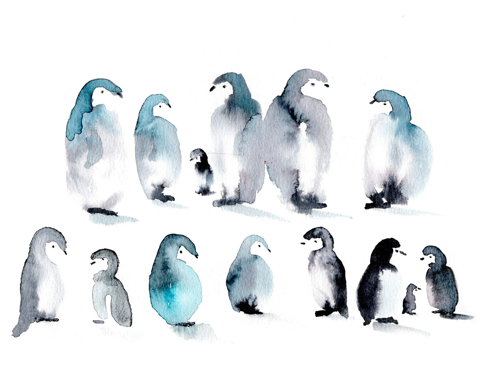 Penguines.jpg