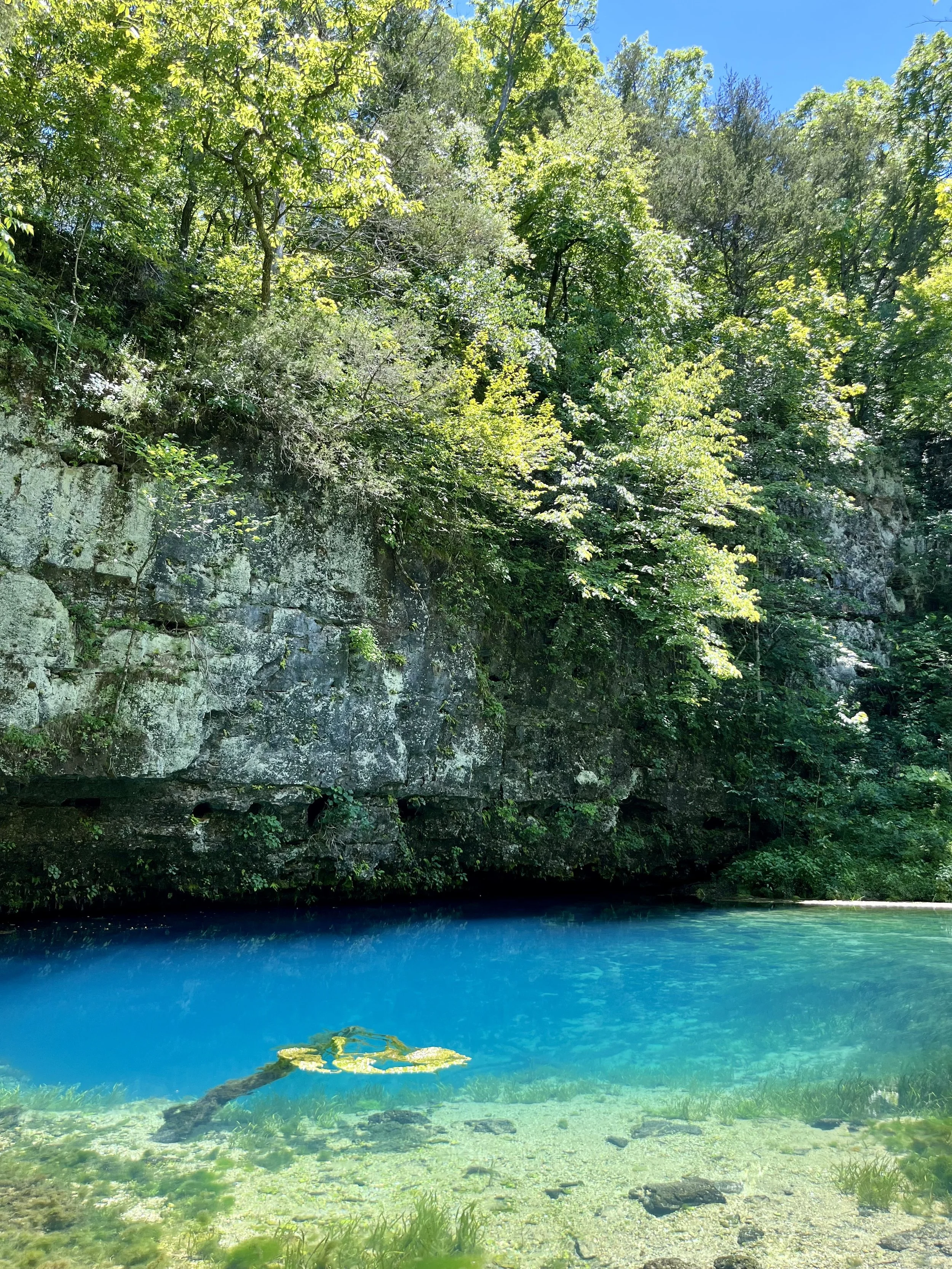 Blue Spring