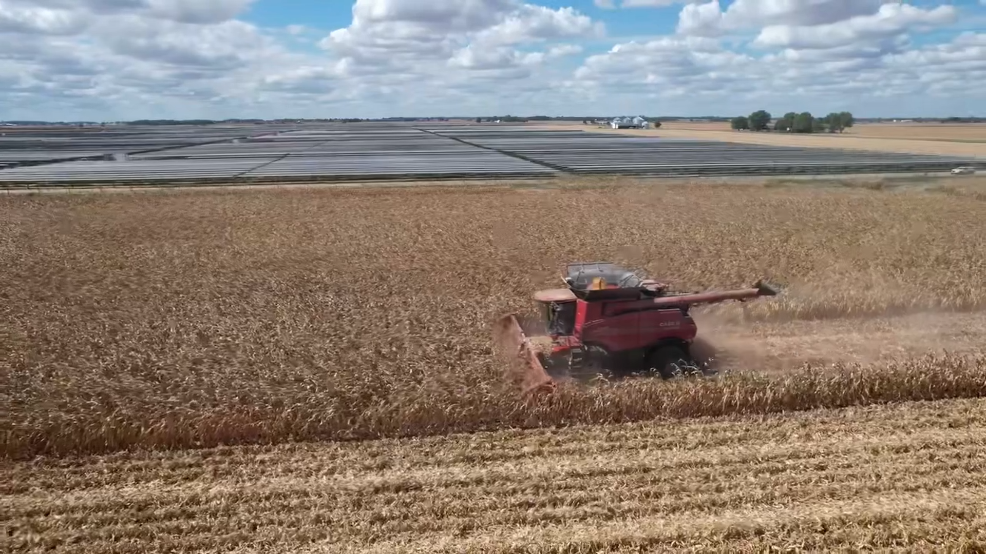 EDF Fox Squirrel_3.3.1.png