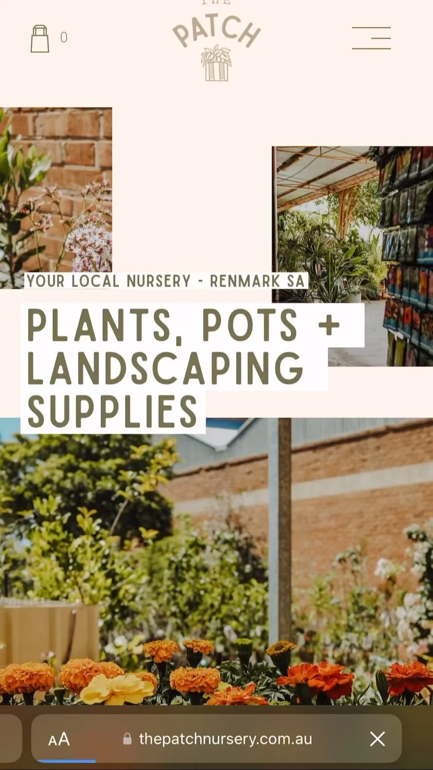 Garden — The Patch Nursery Renmark, Riverland Plant Shop