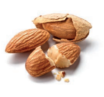 Almond All in One *Pre Order Only