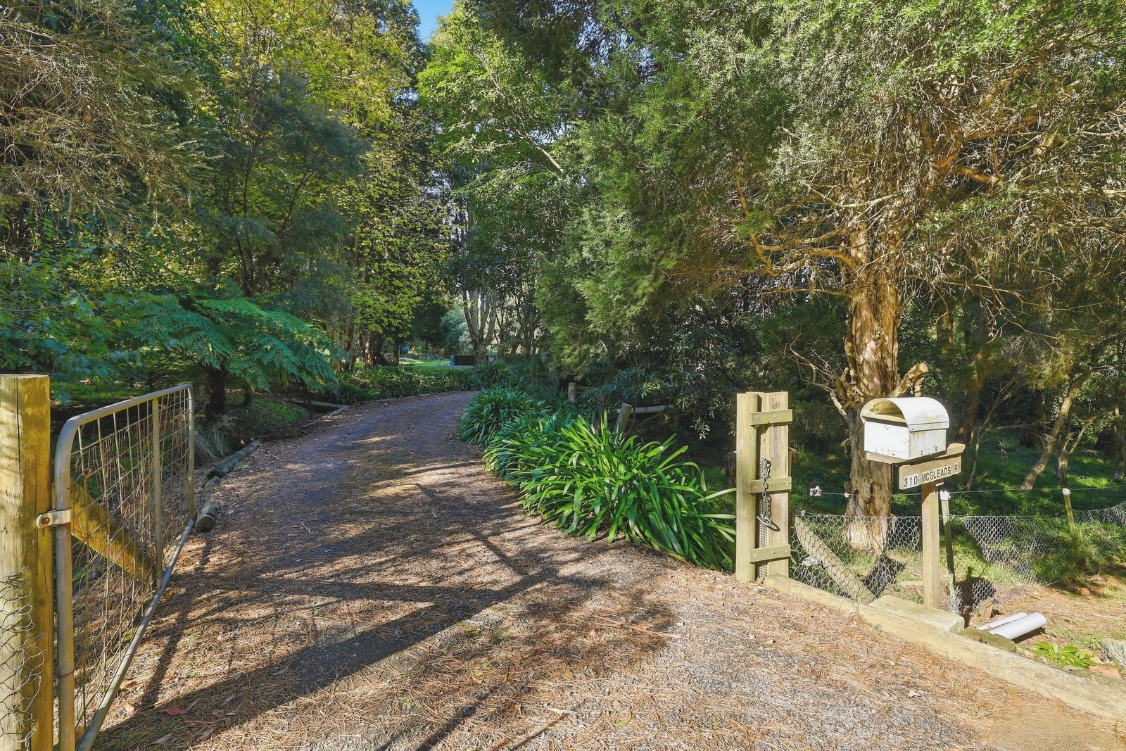003_Open2view_ID1009158-310_Mcgleads_Road.jpg