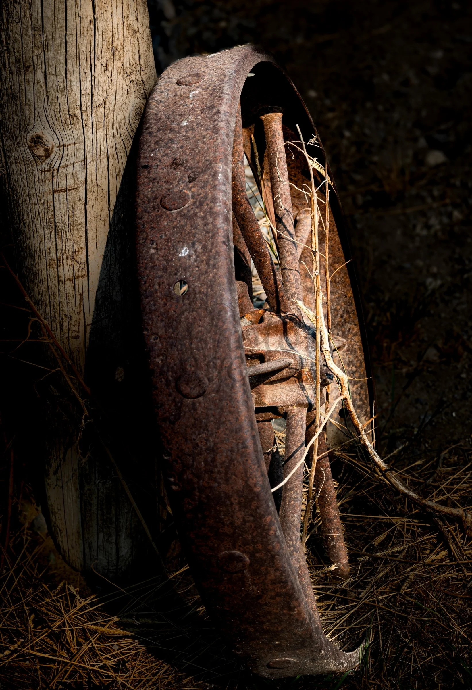 website version 4.jpg