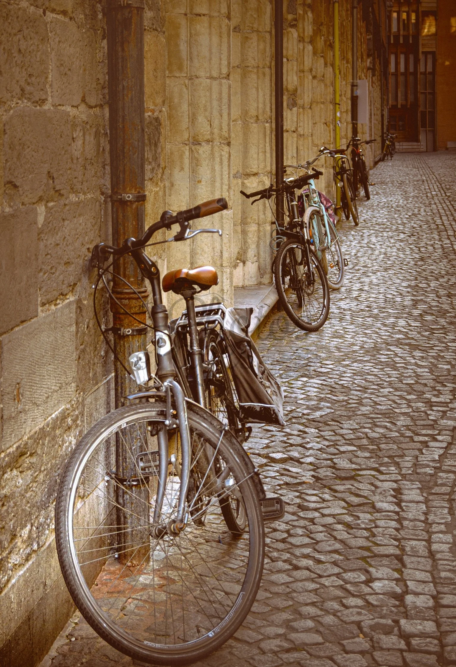 website version 2.jpg