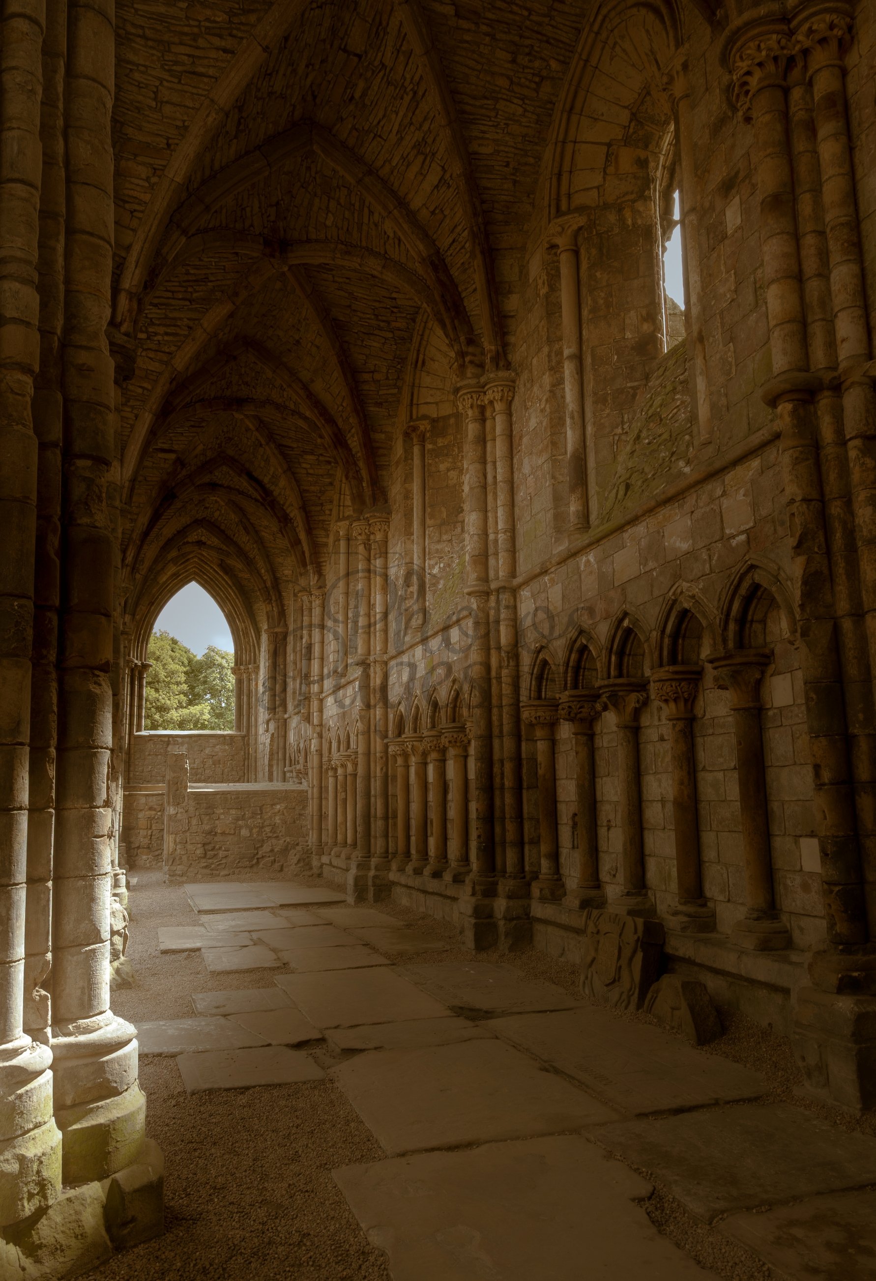 echoes of the past