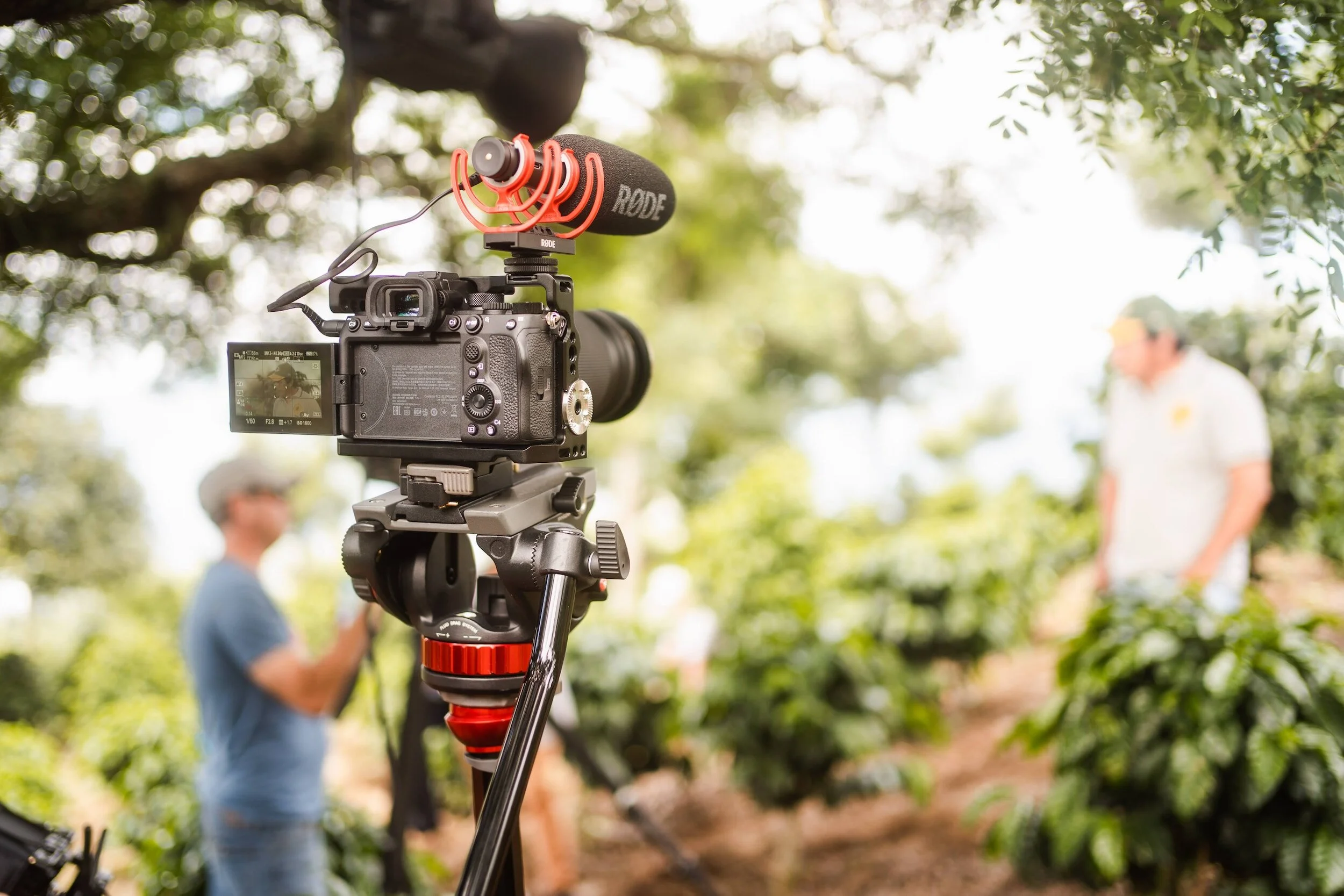 A professional camera mounted on a tripod with a shotgun microphone attached, capturing footage of two people conversing outdoors among green trees and bushes.
