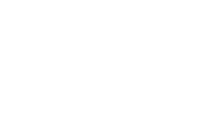 The Bowers Group