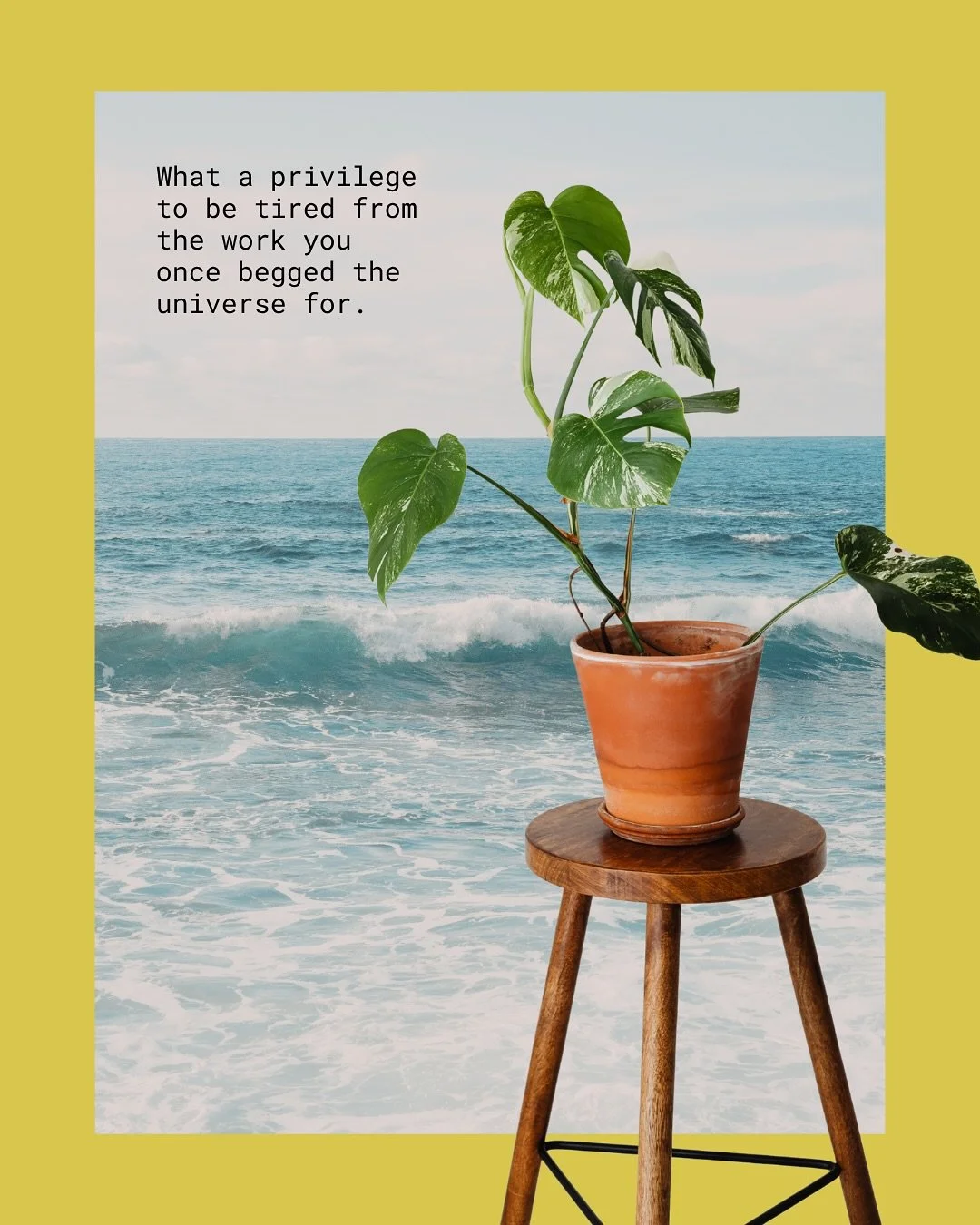 Begging the universe really isn&rsquo;t my thing, but you get the point. So grateful.

@humanschoolofficial