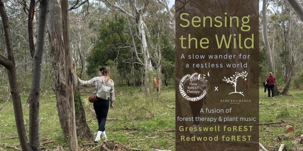 Sensing the Wild - LAUNCHING at Gresswell Wildlife Reserve, Bundoora