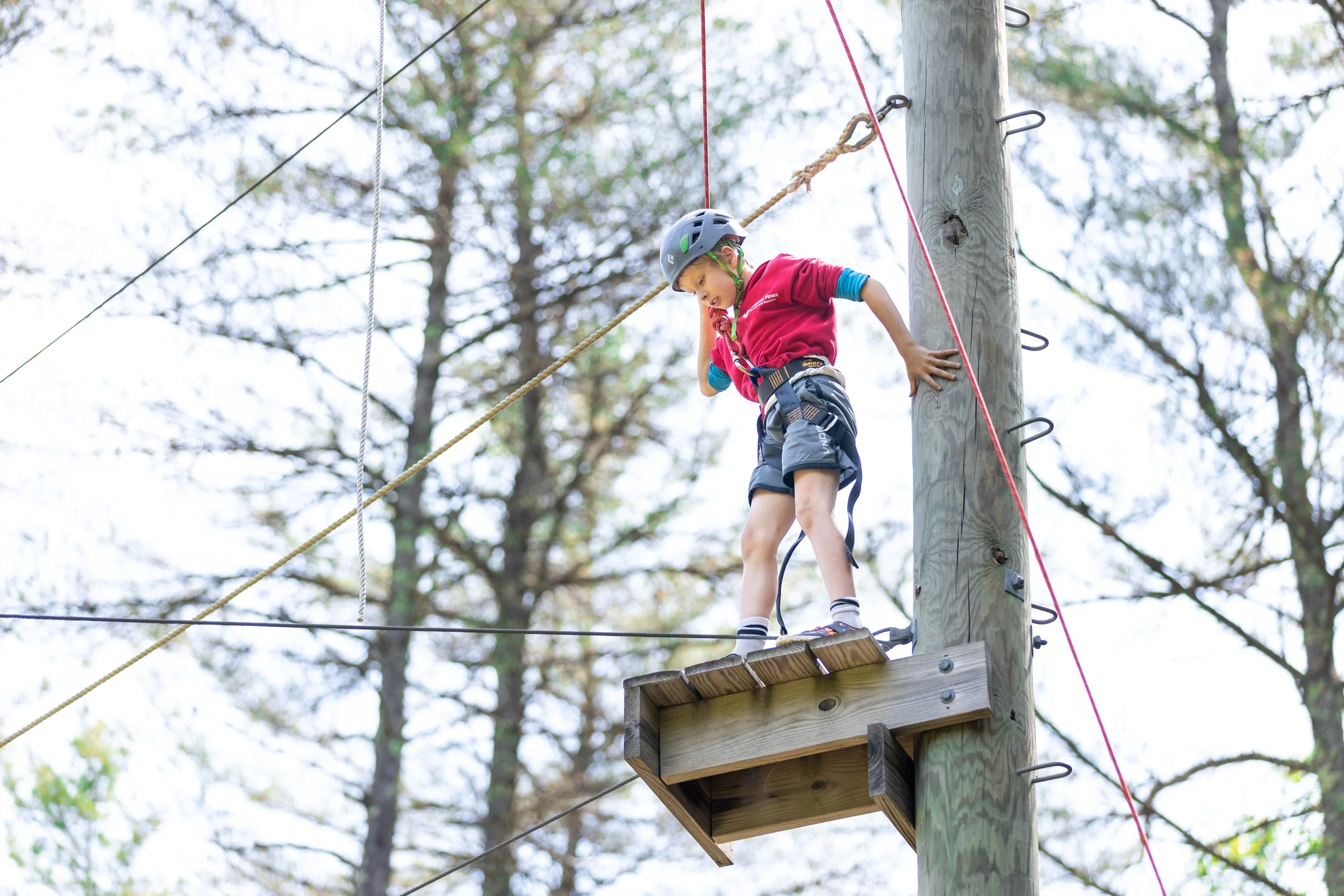 High Ropes, 07 01 2025 05.jpg