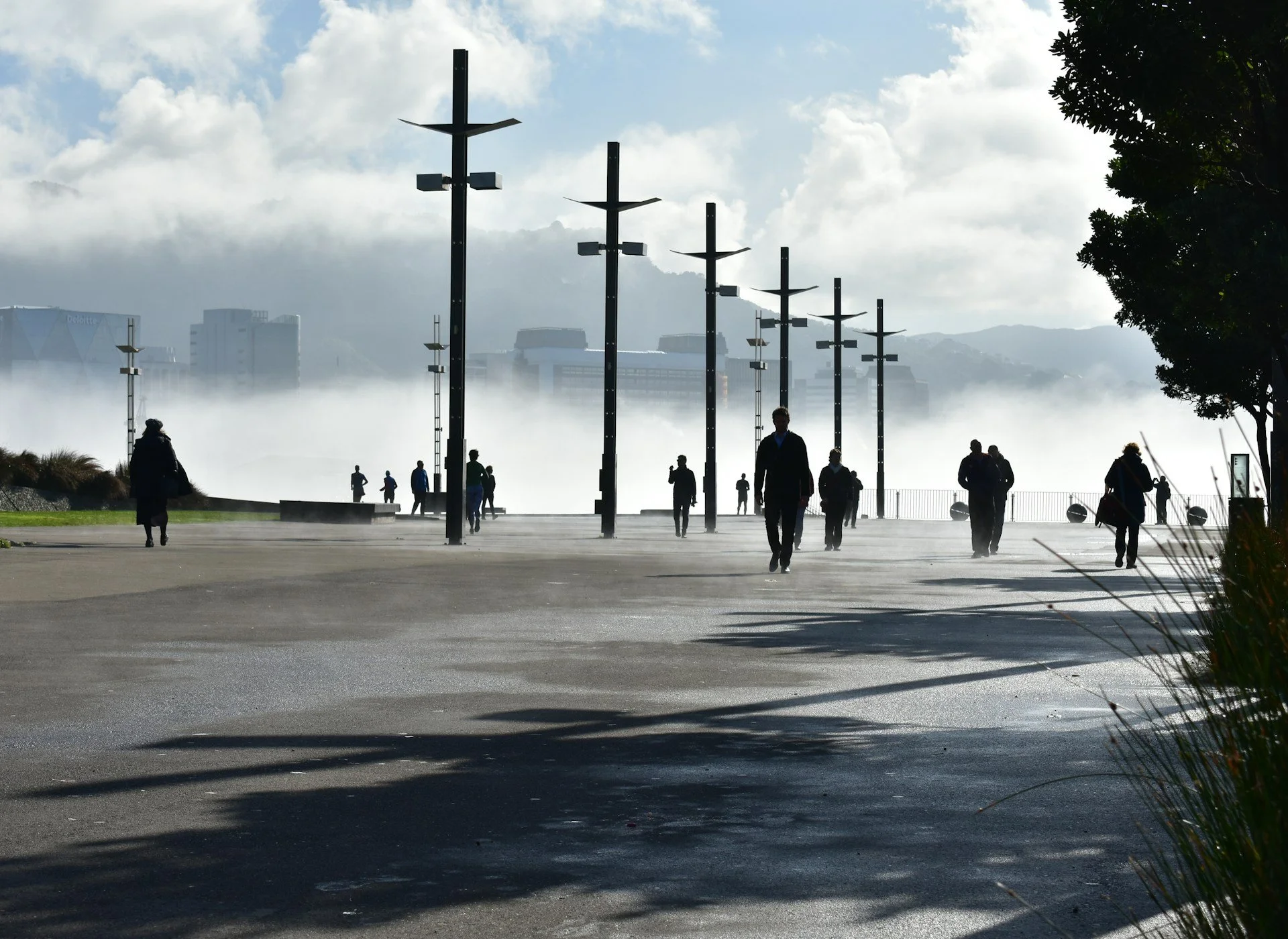 Why Walk &amp; Talk Coaching Works: The Benefits of Coaching While Walking