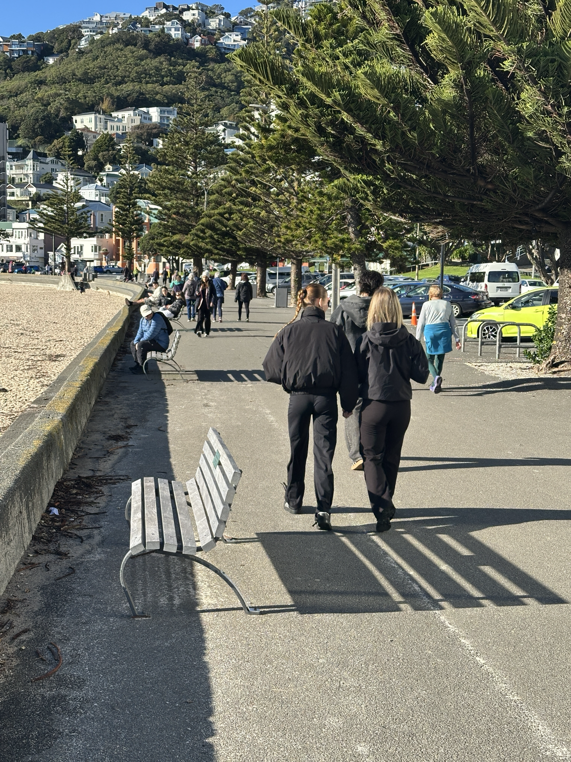 People enjoying a walk along Wellington's Oriental Bay waterfront on a sunny winter day, with the beach, Norfolk pine trees and hillside homes in the background.