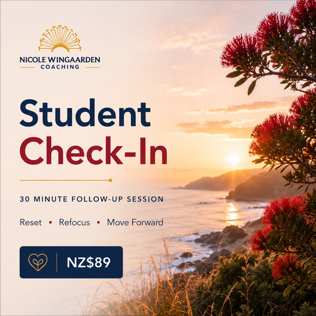 tudent coaching follow-up session for stress, confidence, study support and personal growth in Wellington New Zealand