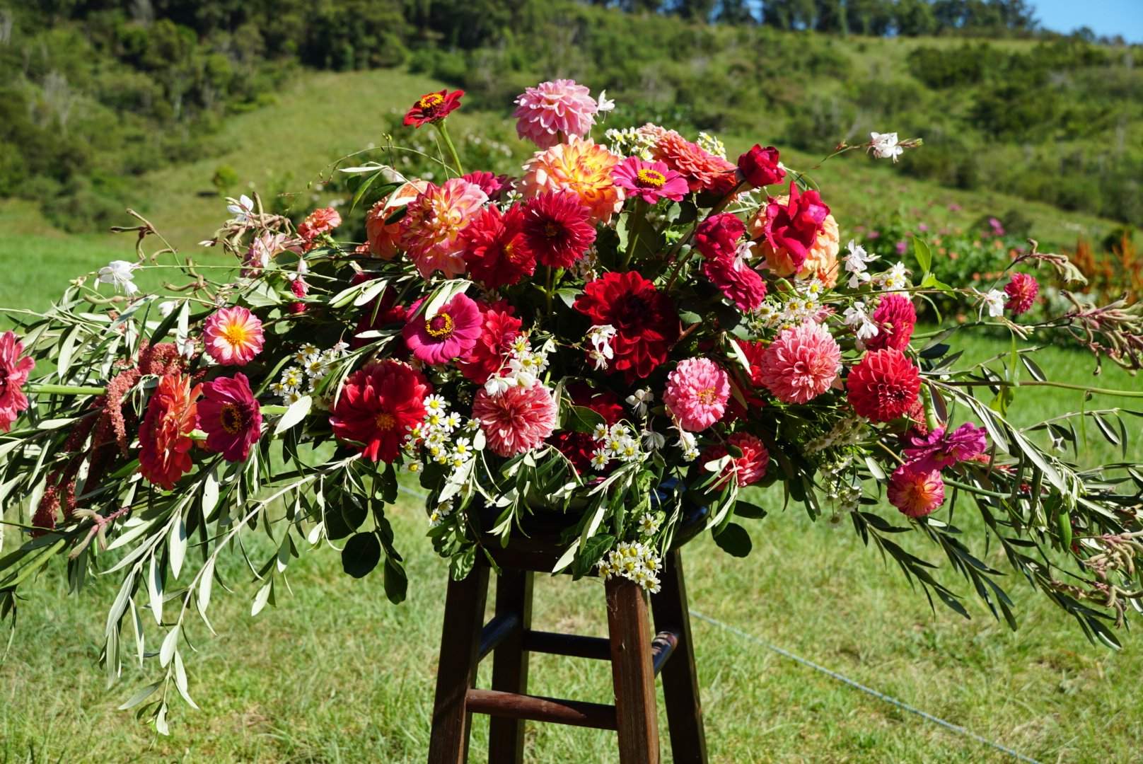Shop — Paddock Flowers