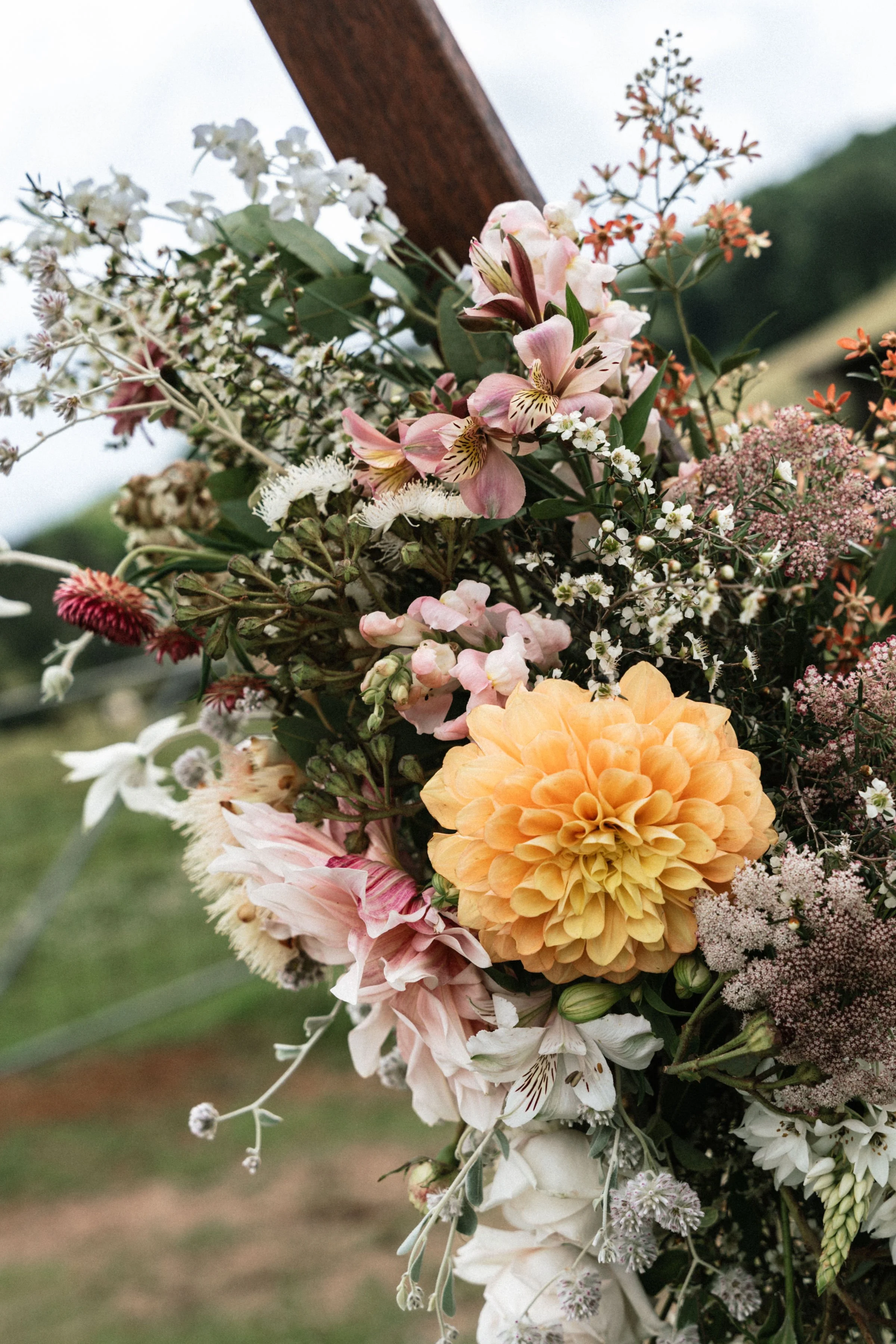 Tegan arbour close.jpg