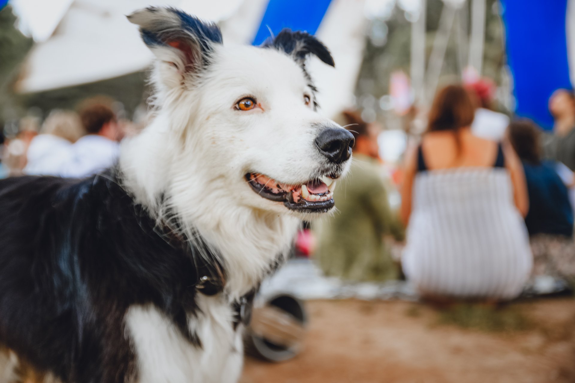 BrendyFest–@NoahBarclay-025.jpg